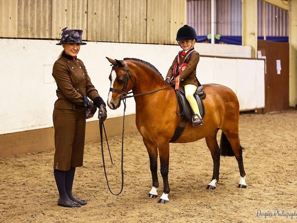 Top Class Lead Rein Show Hunter Pony - Main image