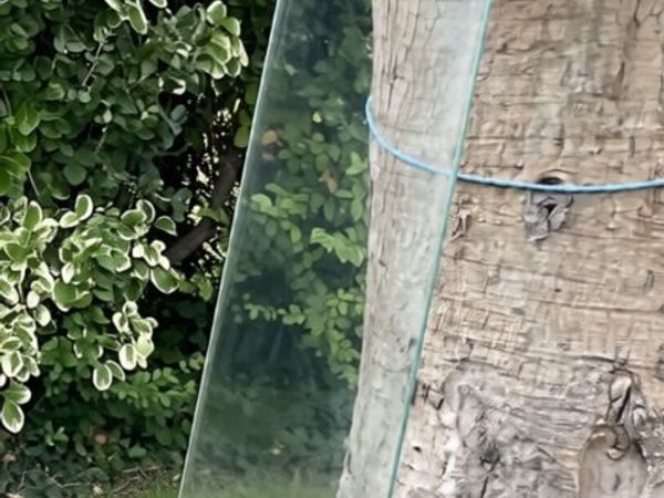 Pair of glass shelves - Main image
