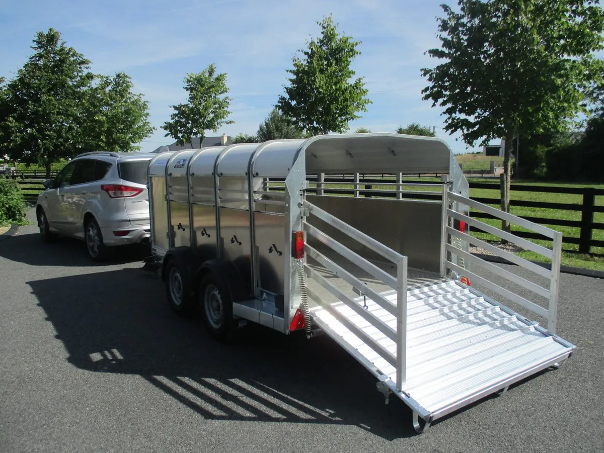 PKS-IFOR WILLIAMS 10'X5'X4' PIG & SHEEP TRAILER - Image 3