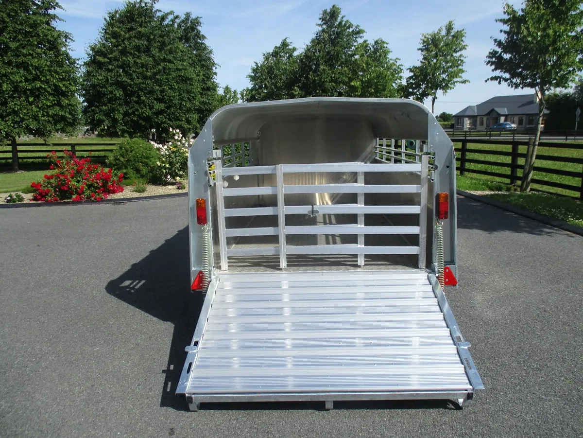 PKS-IFOR WILLIAMS 10'X5'X4' PIG & SHEEP TRAILER - Image 4