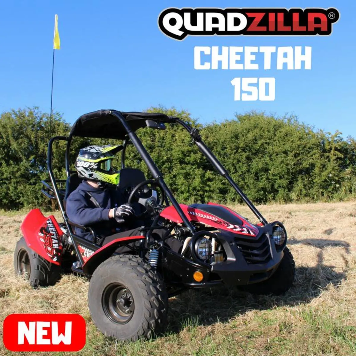 IRELANDS largest range of BUGGIES Kids / adults - Image 1