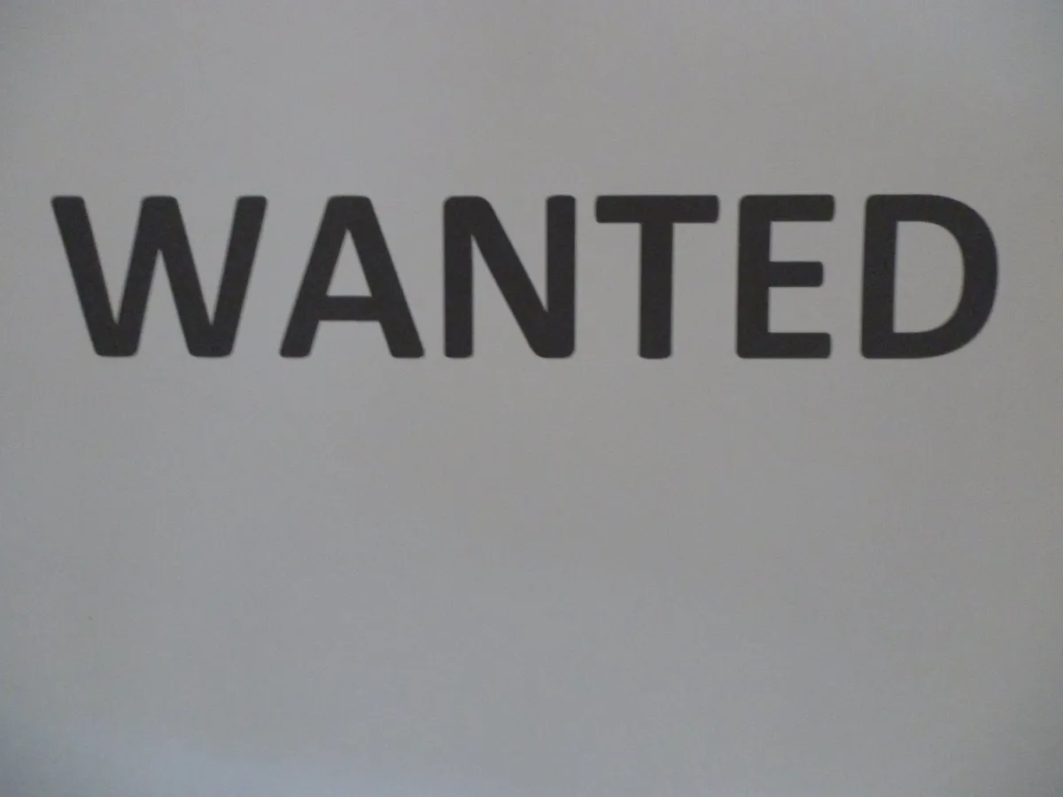 Old Irish/Foreign Banknotes /Any Old Coins