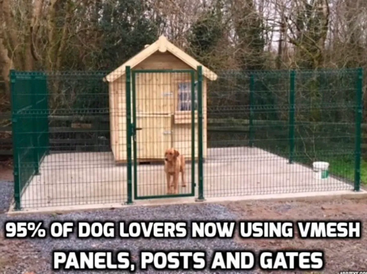 ‼️BIG SALE ON ‼️ DISCOUNT Dog kennels.. Amazing - Image 2