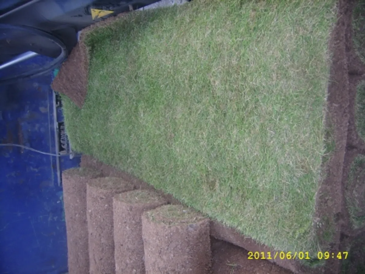 Topsoil,horse manure,compost, gold and Purple - Image 4