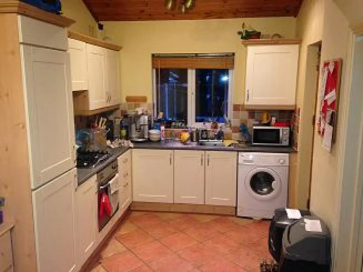Lifting MDF  Kitchen Doors matched and replaced. - Image 4
