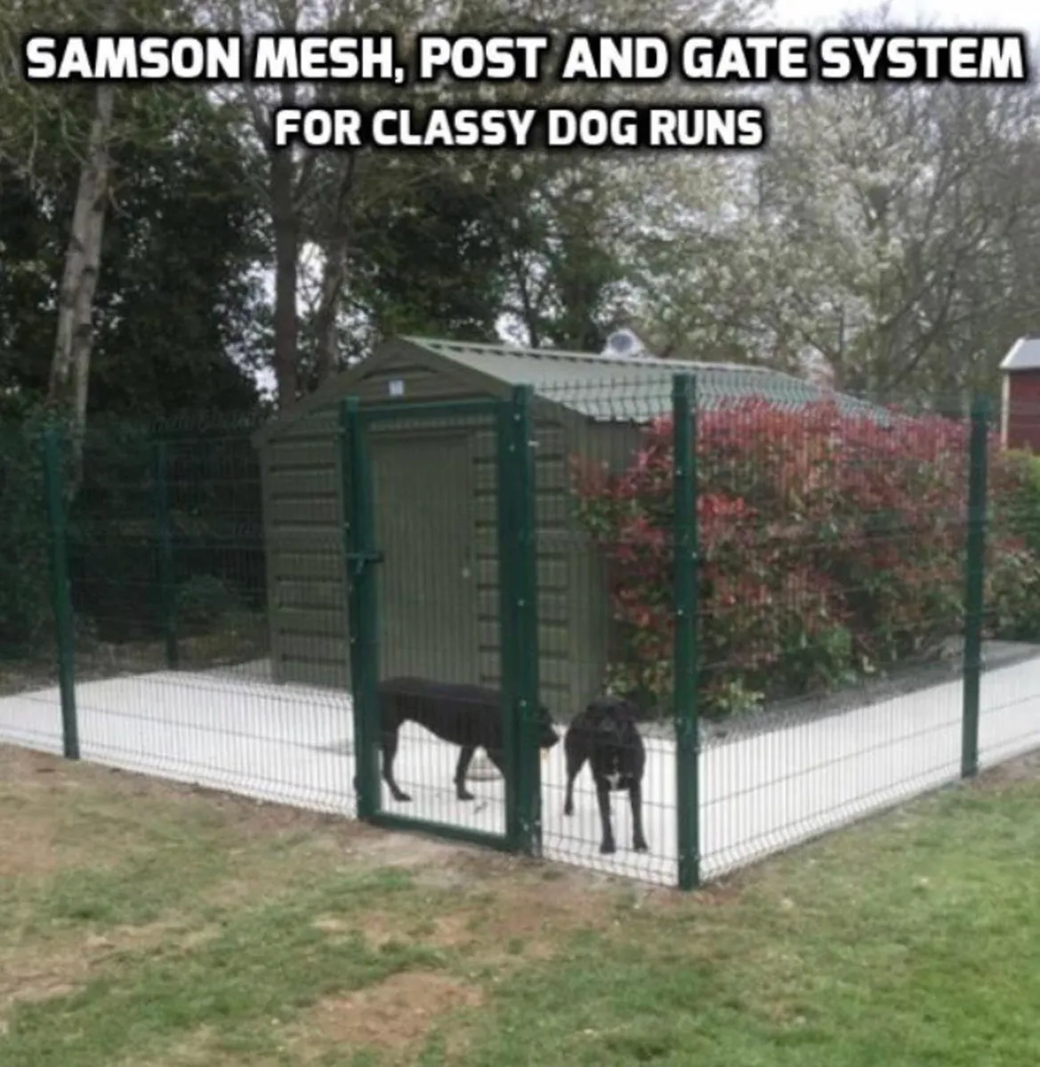 ‼️‼️BIG SALE NOW ON ‼️‼️..Dog runs/ kennels... - Image 4
