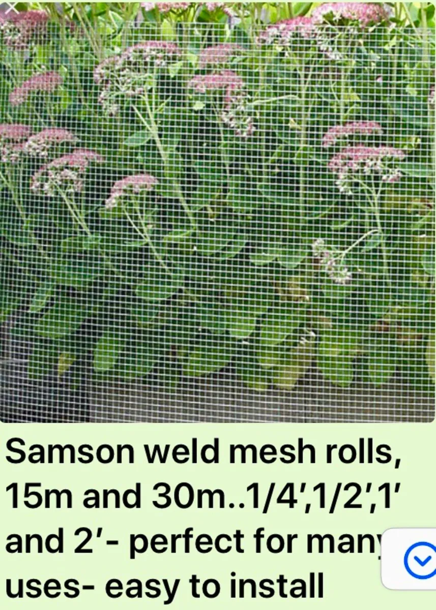 Weld Mesh Wire Rolls- No Vat for Irish Buyers - Image 4
