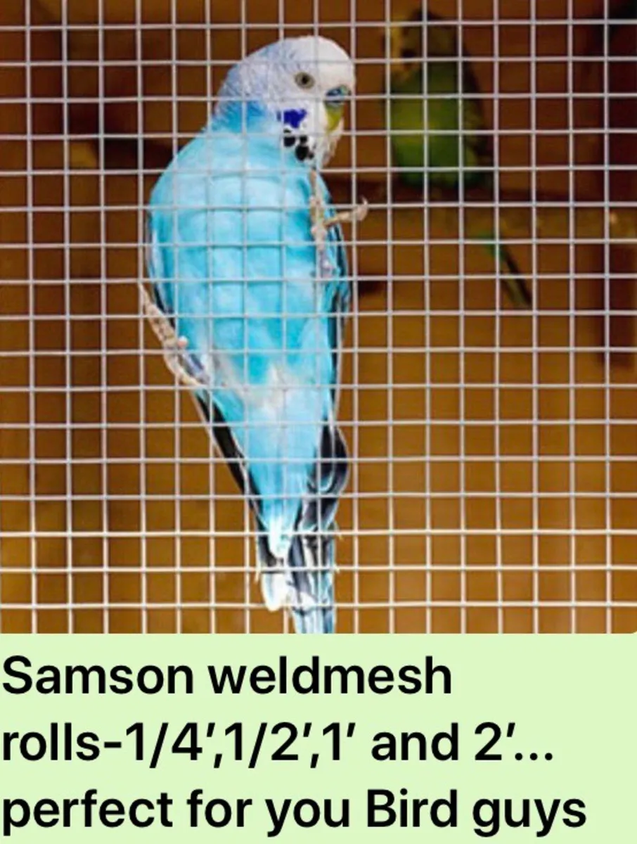 Weld Mesh Wire Rolls- No Vat for Irish Buyers - Image 2