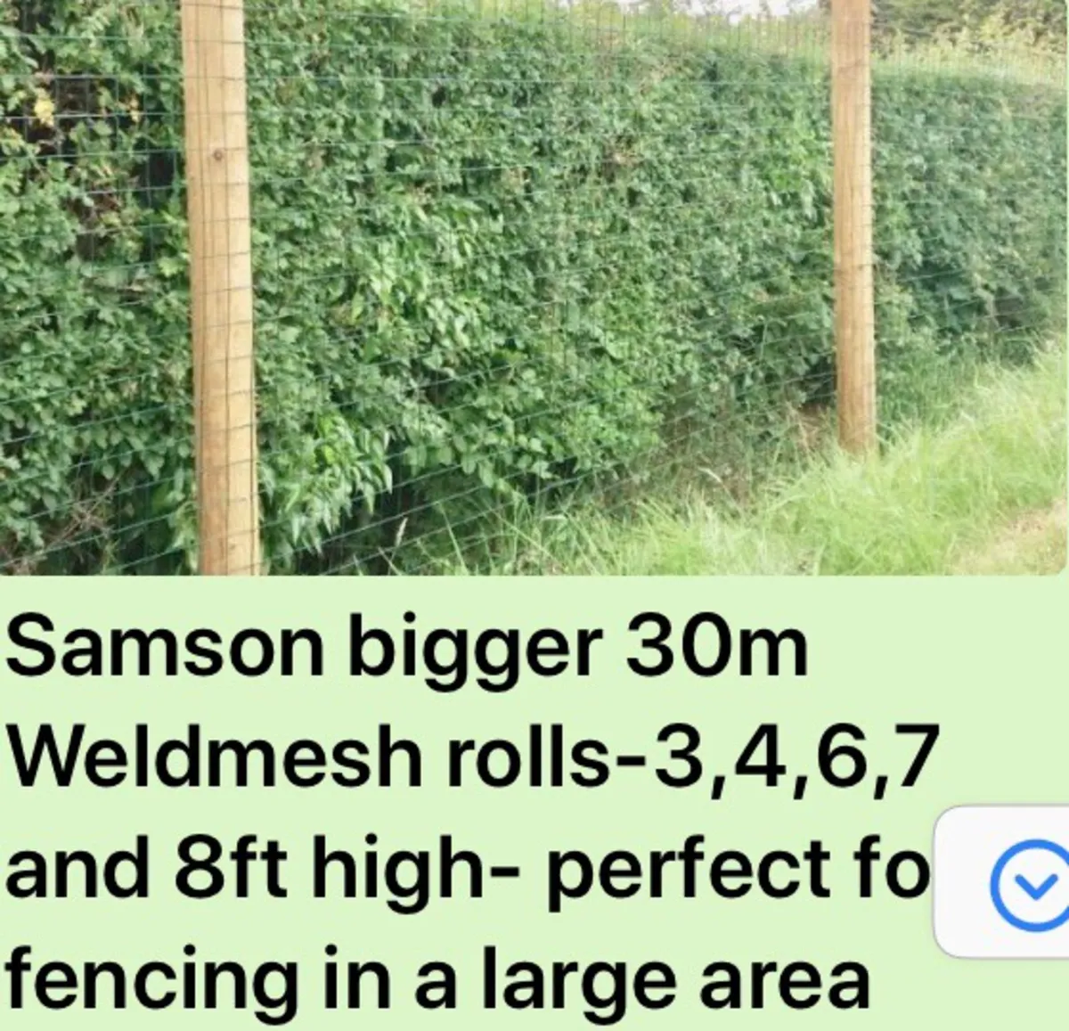 Weld Mesh Wire Rolls- No Vat for Irish Buyers - Image 3