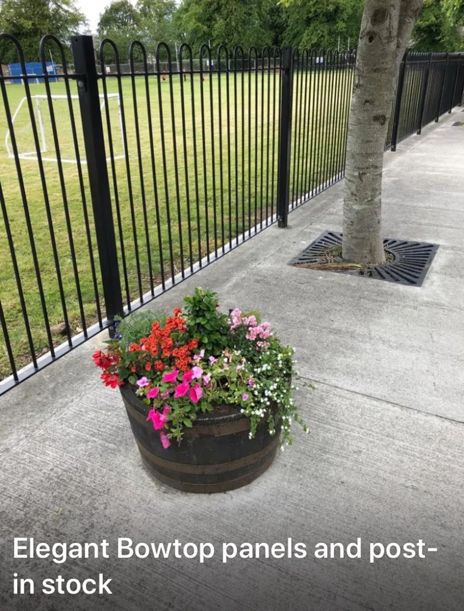 All Ireland Classy  Bow Top ..No Vat!!! - Image 4