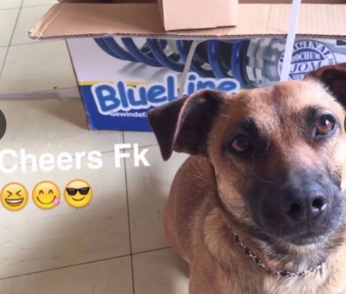 New coilover suspension kits delivered nationwide - Image 1