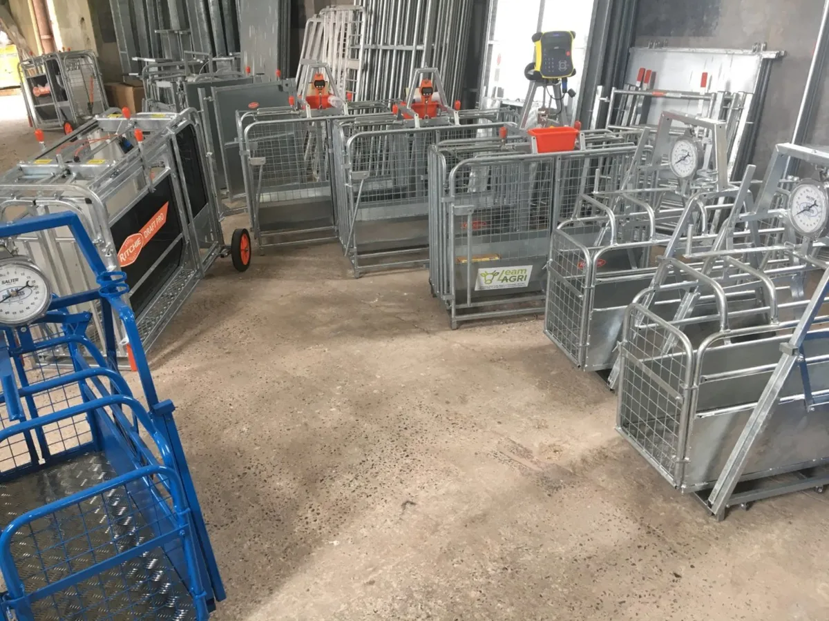 Lamb/Sheep/Pig/Cattle weighbridges/scales .. Leam - Image 3