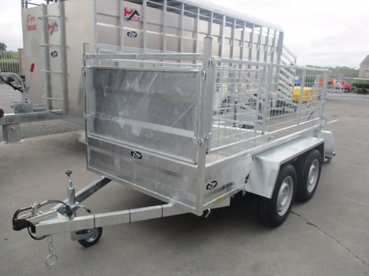 pro trailers mesh sides sheep gates B licence - Image 4
