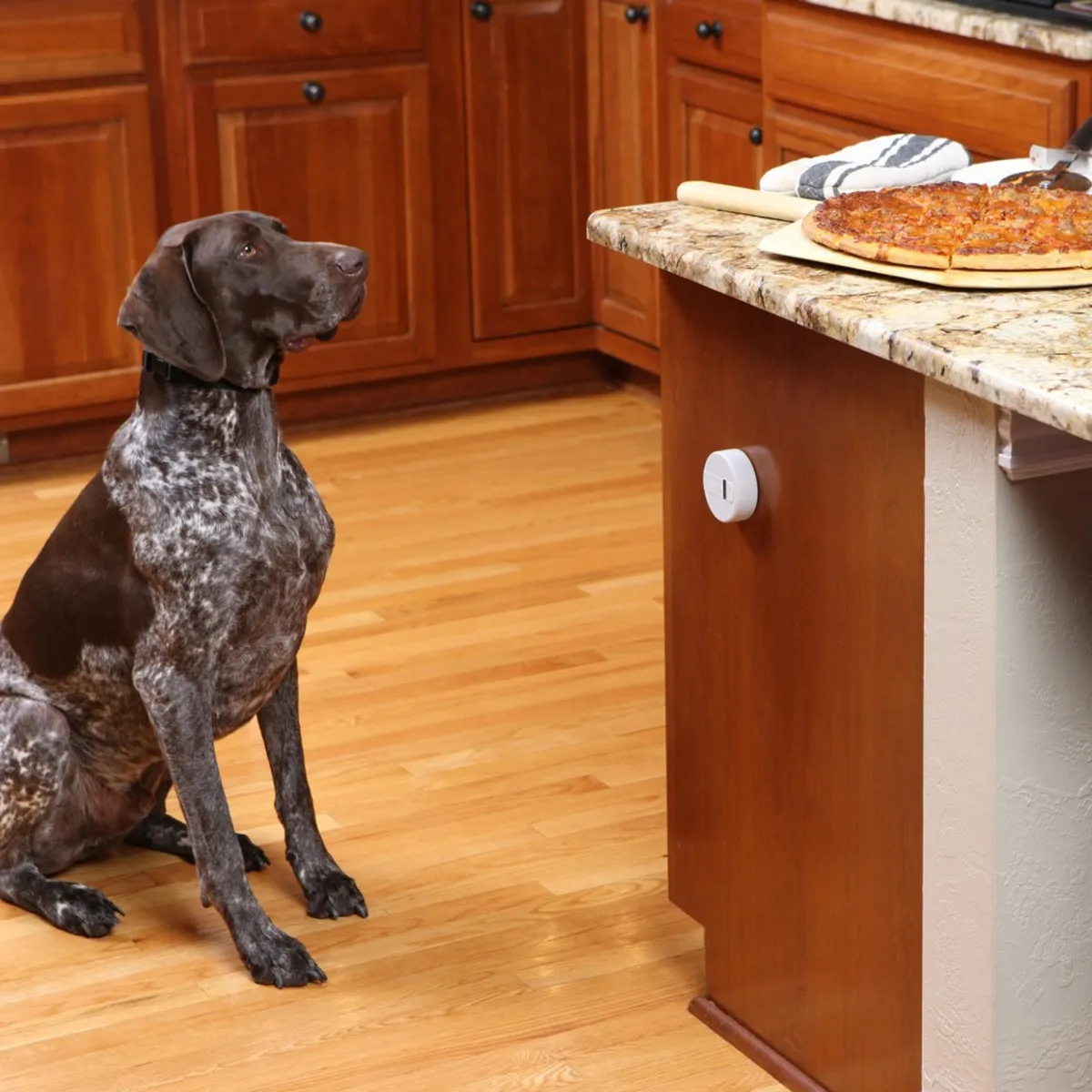Keep Cats Off Countertops - Pawz Away - Image 4