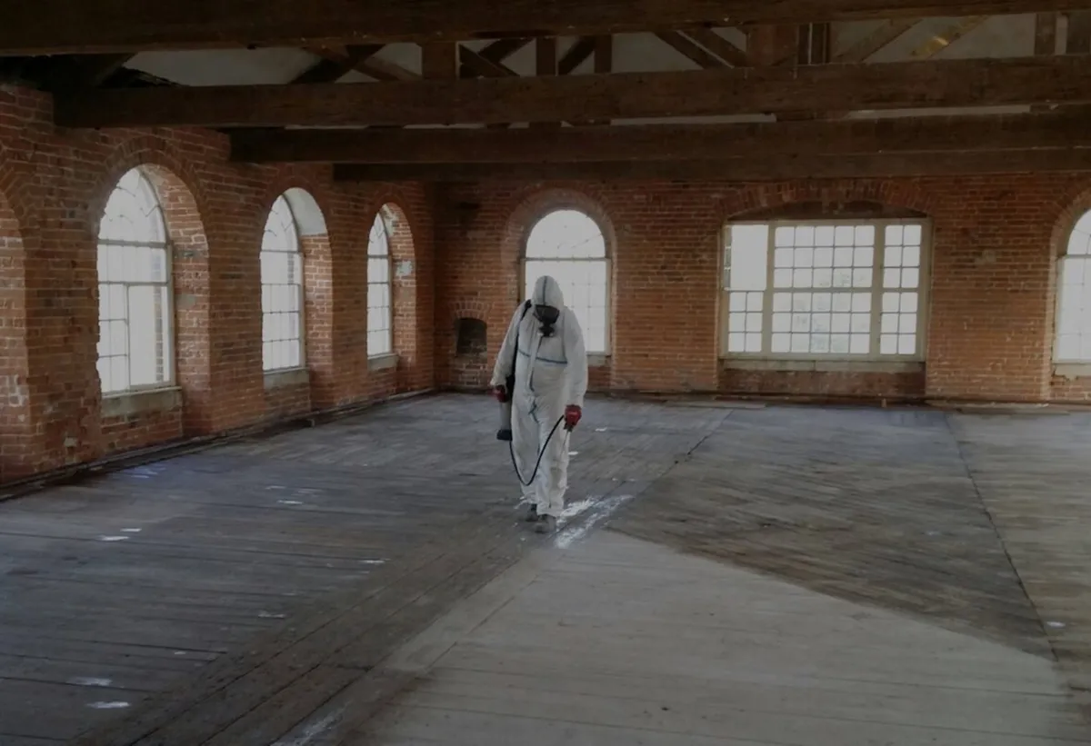 Bird Dropping 'Pigeon Guano' Licensed Removal - Image 3