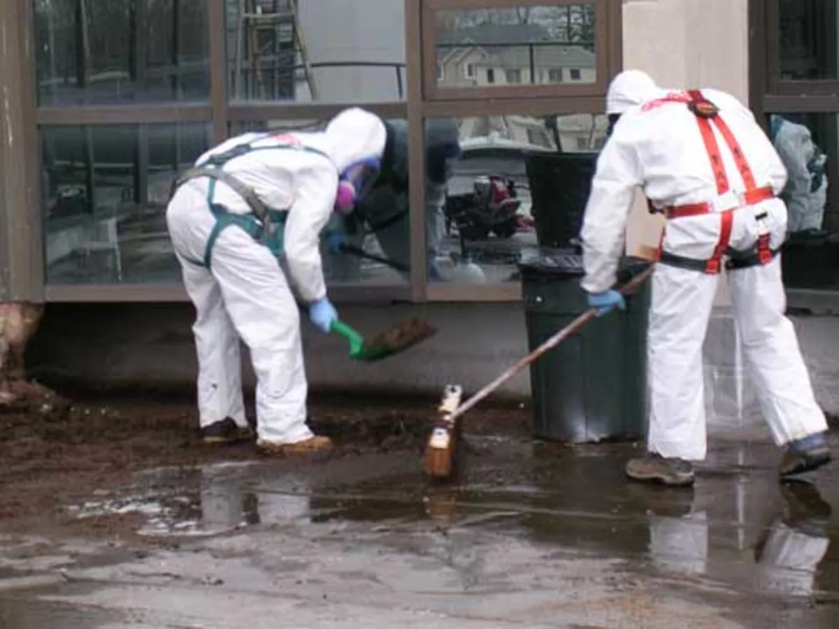 Bird Dropping 'Pigeon Guano' Licensed Removal - Image 4