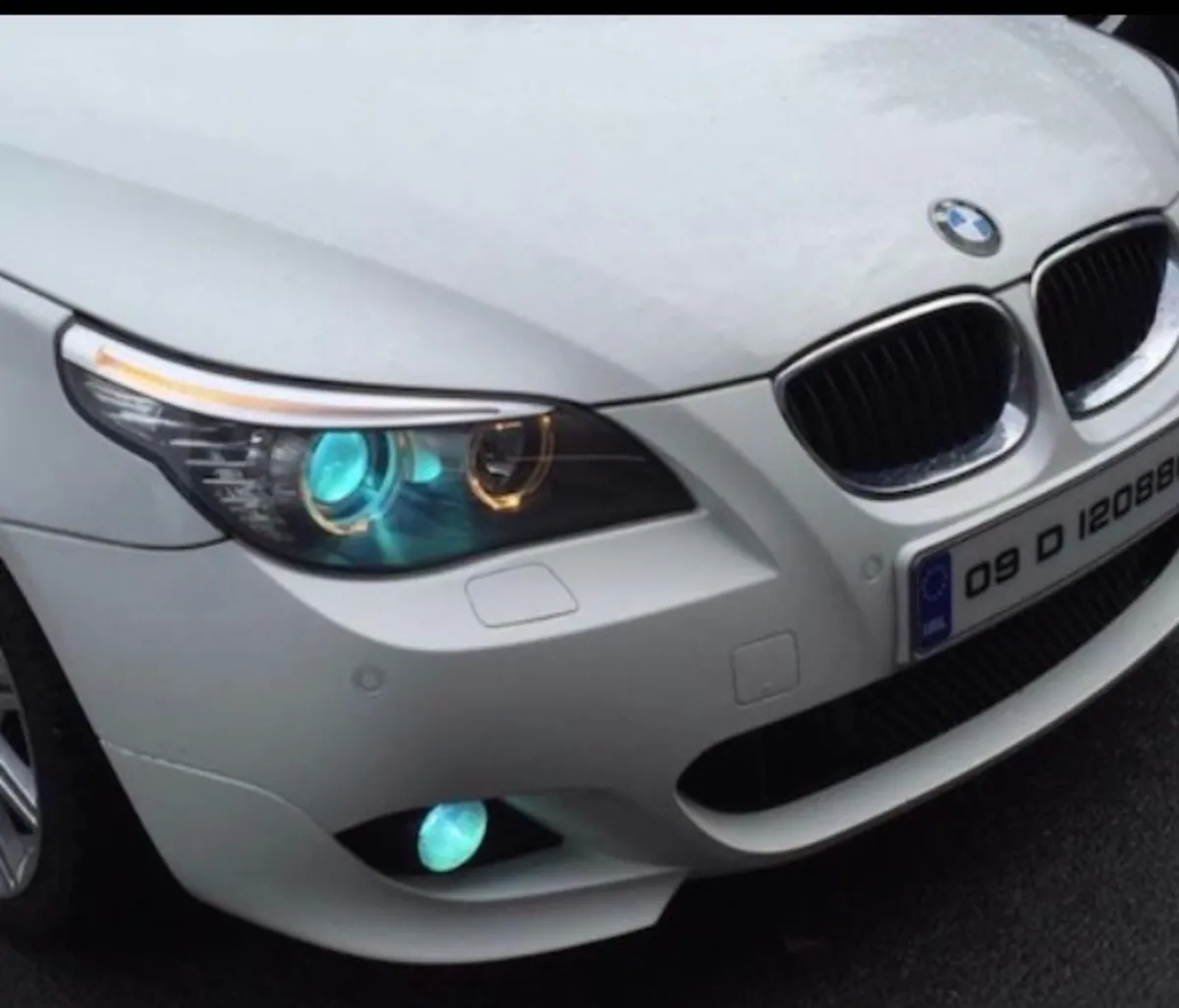 German , jap , gel plates delivered - Image 3