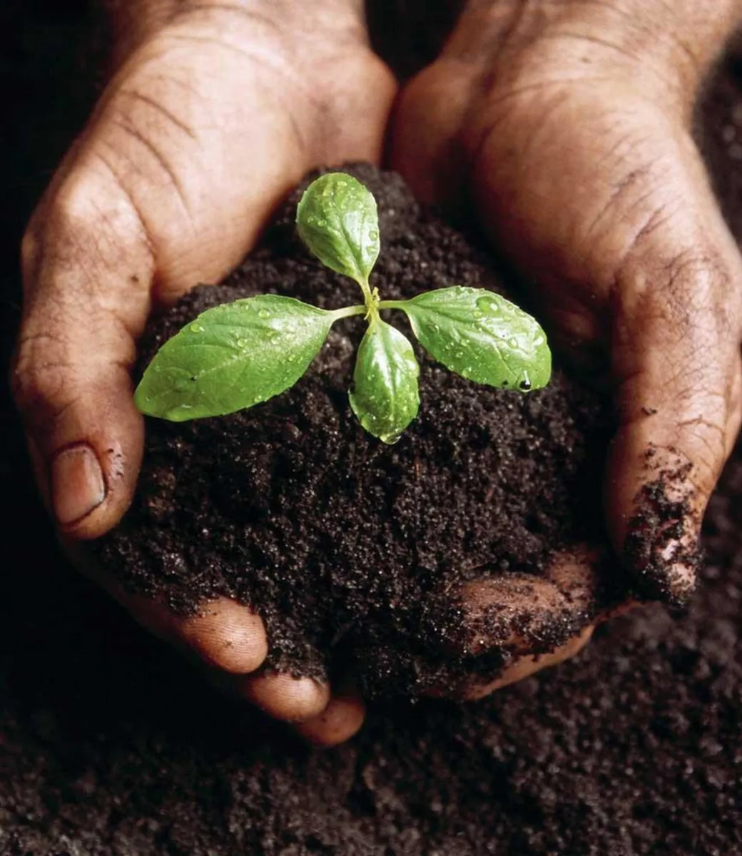 Wexford Top Soil (Screened and compost blended) - Image 3