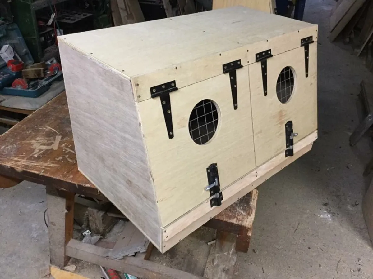Terrier/ ferret boxes - Image 4