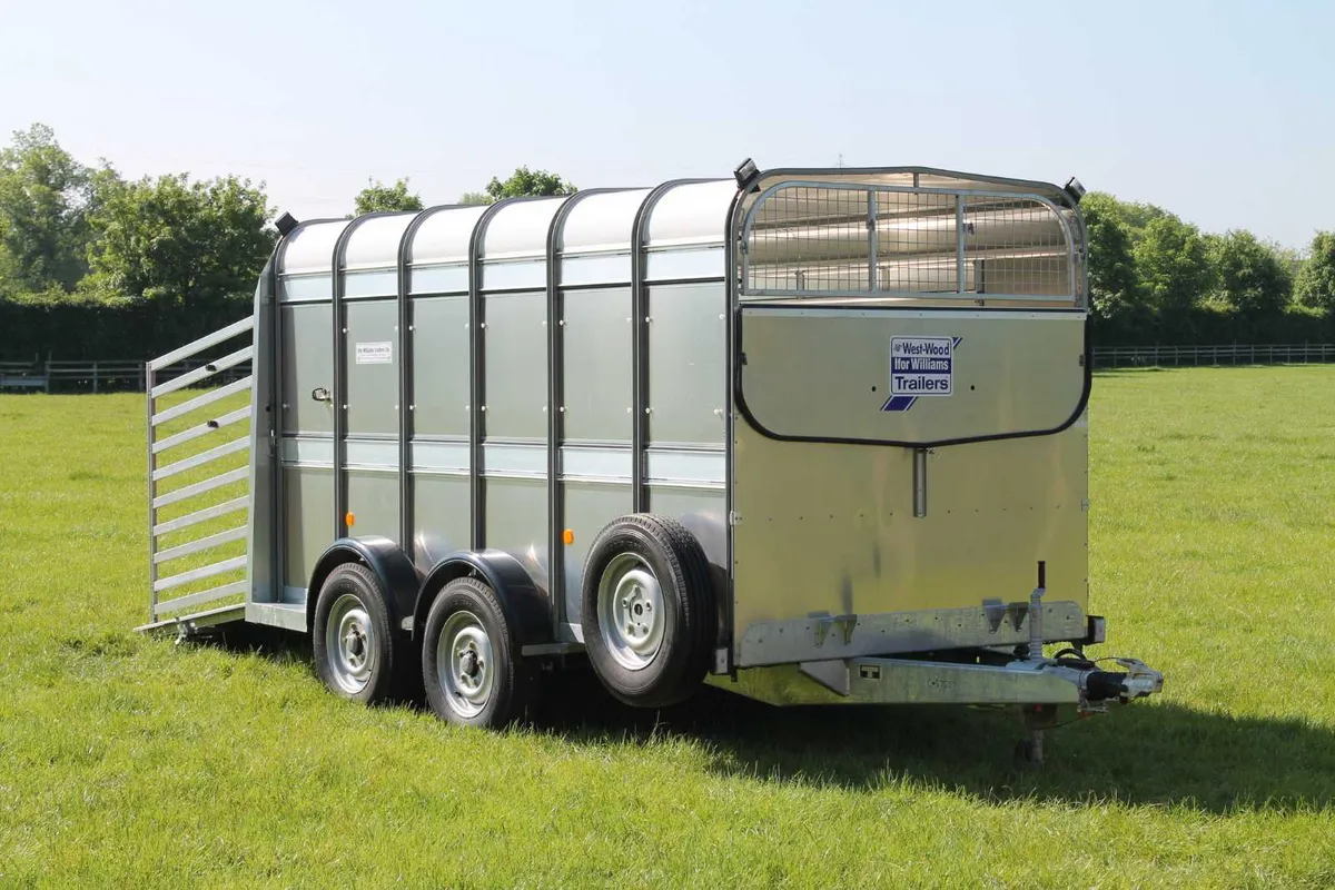New TA510 12' x 5'10'' Ifor Williams Cattle Traile - Image 1