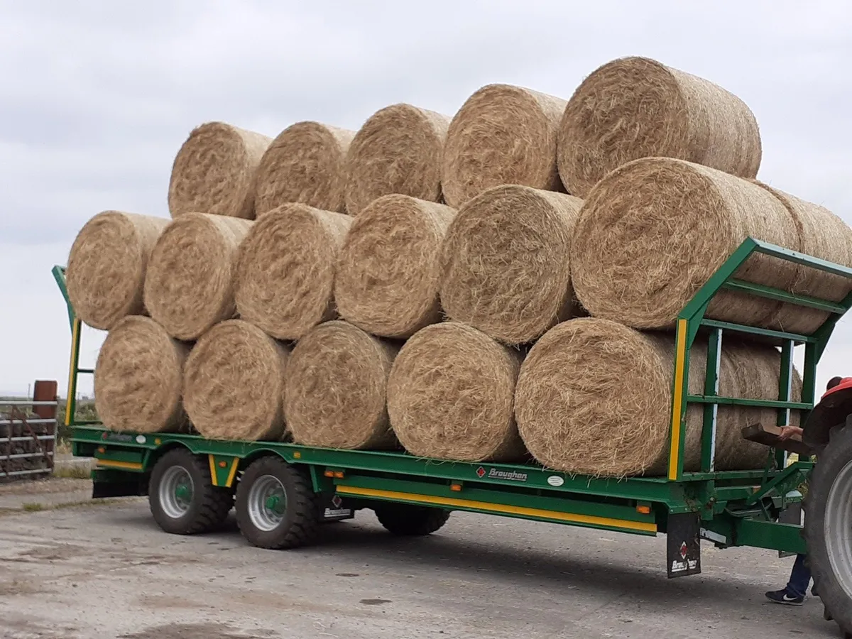 2025 Hay Squares/Round & Haylage,  2025 Straw - Image 1