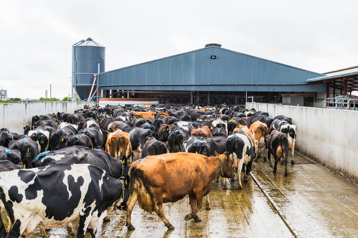 Agri Design & Planning Services (ADPS) - Image 3