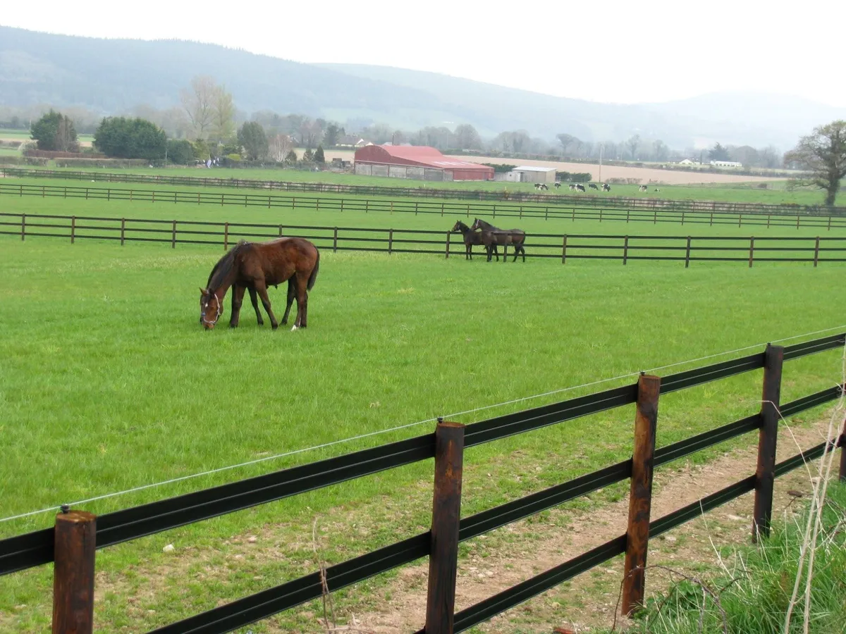 Flexible Rail Fencing System - Image 3