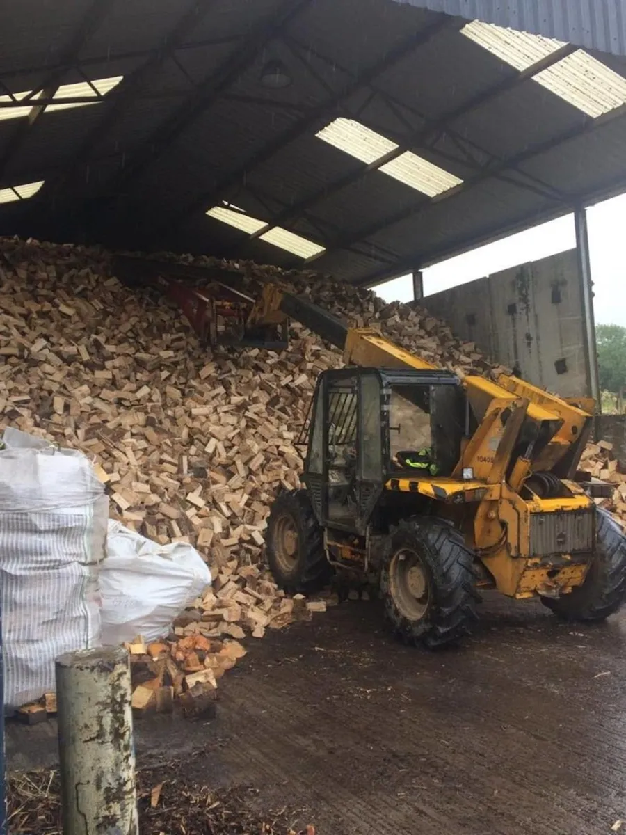 Whole sale Fire Wood - Image 2