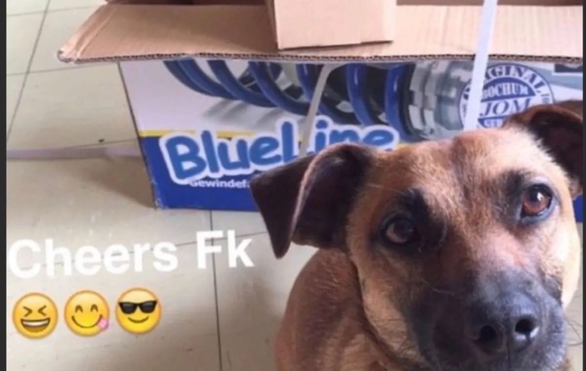 Bmw e60 upgrade led bulbs & angel eye bulbs - Image 3