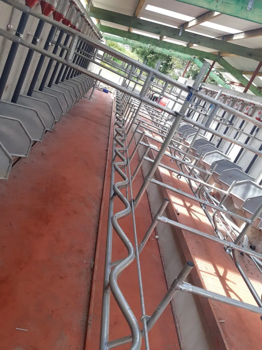 Milking Parlour Stallwork - Image 3