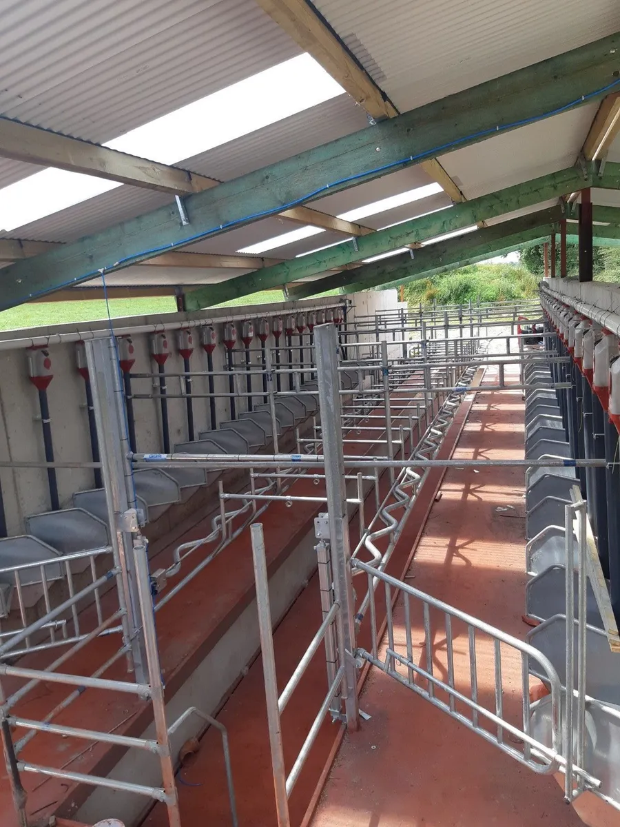 Milking Parlour Stallwork - Image 4