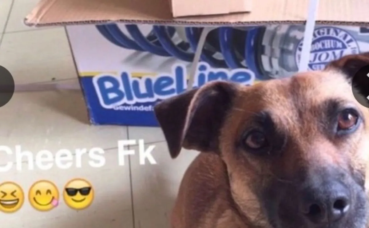 New coilover kits offers - Image 2