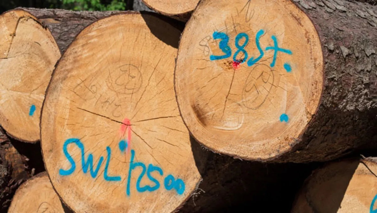 EcoMARTENS Tree Marking Paint - Blue/Red/White - Image 1