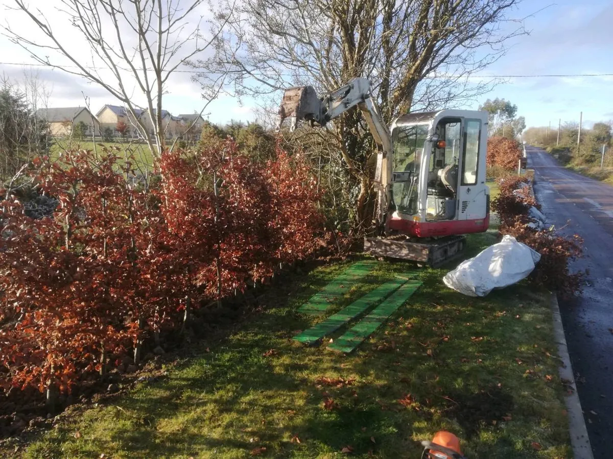 Landscaping - Image 4