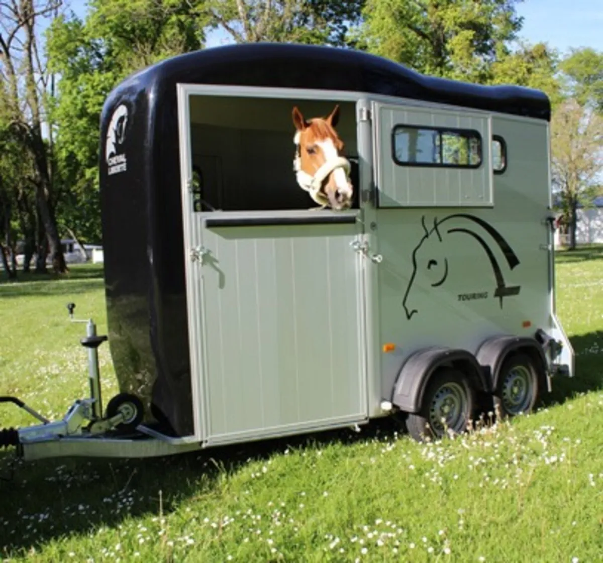 Cheval Liberte touring one (mare and foal) - Image 1