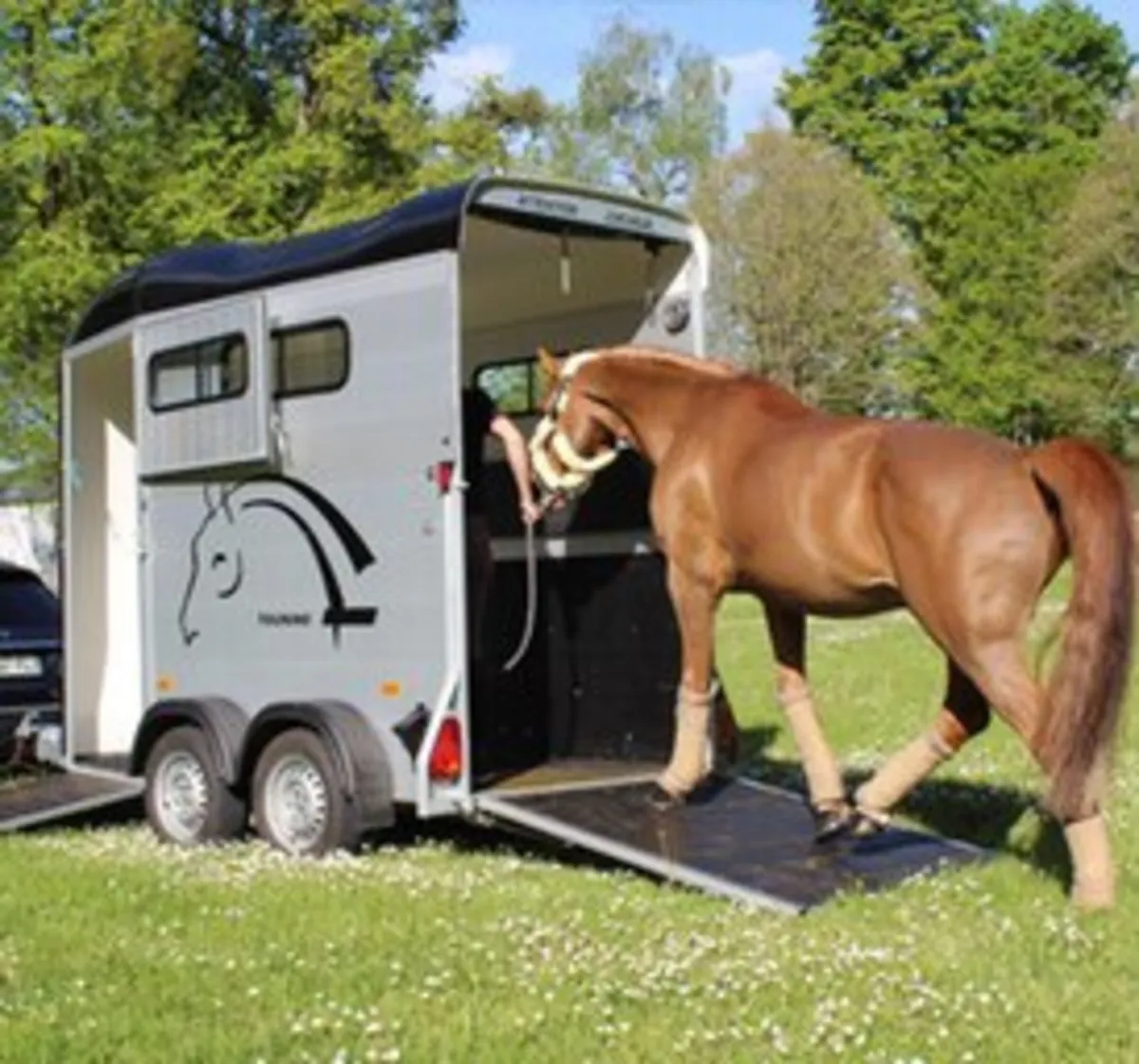 Cheval Liberte touring one (mare and foal) - Image 4