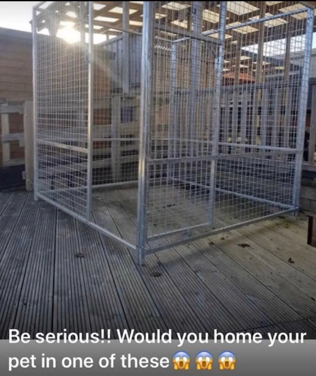 ‼️ SALE ‼️Luxury Dog runs/ homes Ireland - Image 3