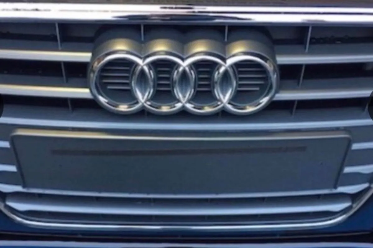 Used Audi A4 a6 main grills - Image 1
