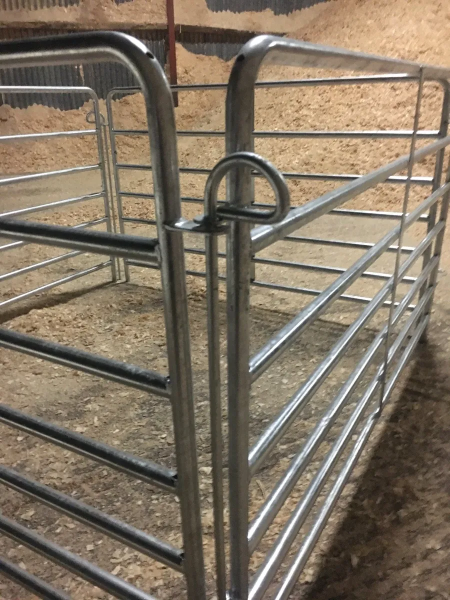 ALL TYPES OF SHEEP PENNING AND HAYRACKS - Image 4