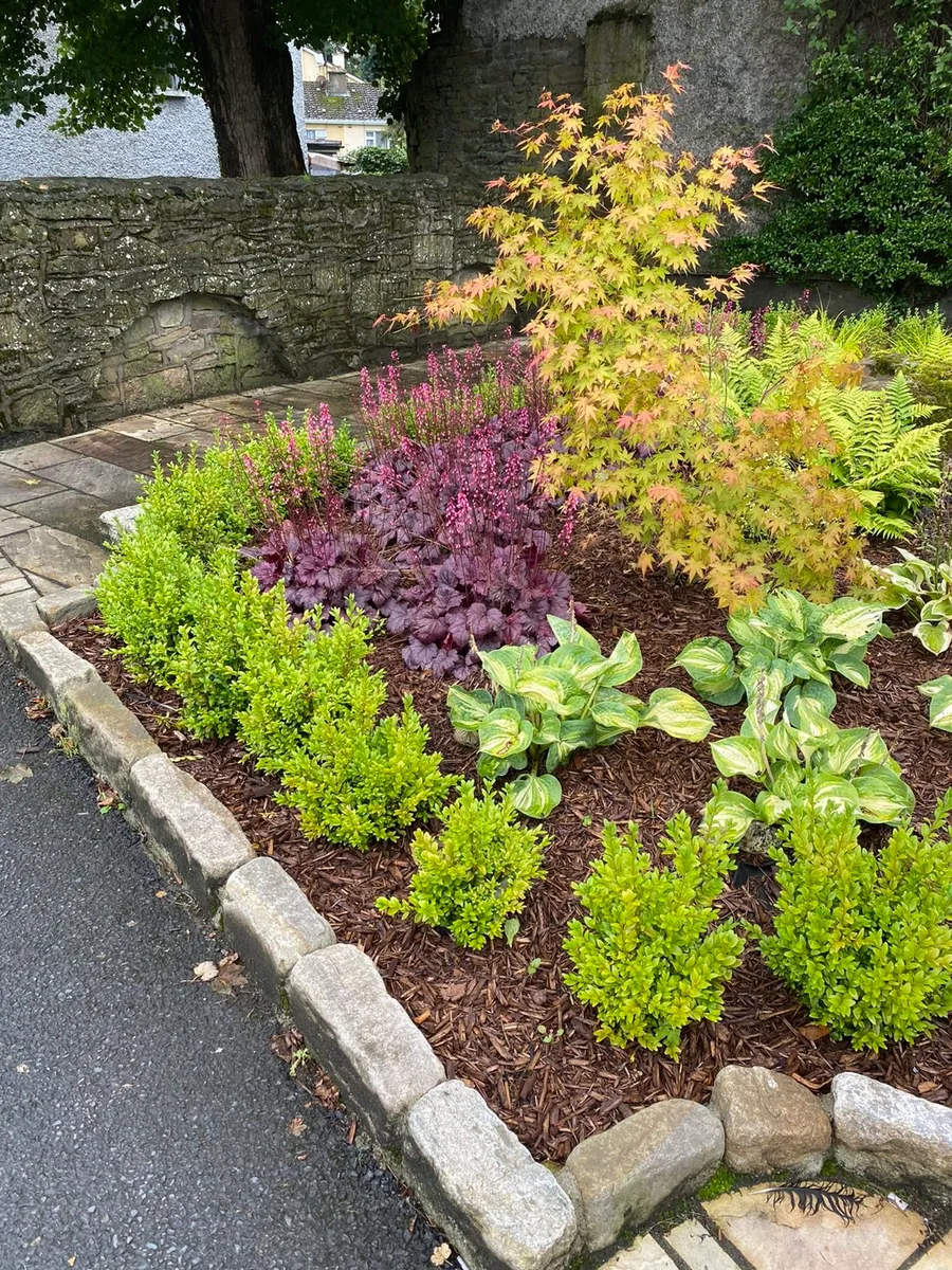 Old Salvage 6" High Kerbstones 20m @ €399 - Image 2