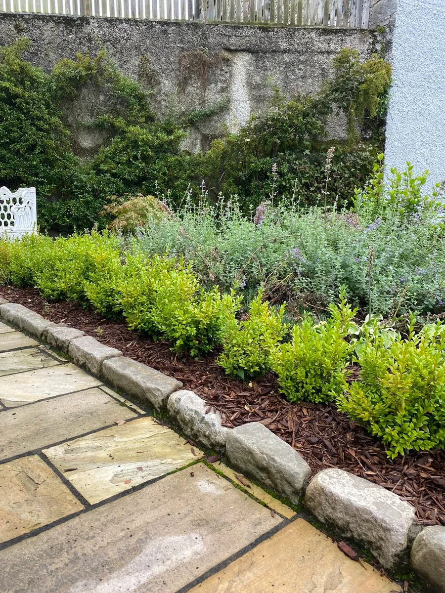 Old Salvage 6" High Kerbstones 20m @ €399 - Image 4