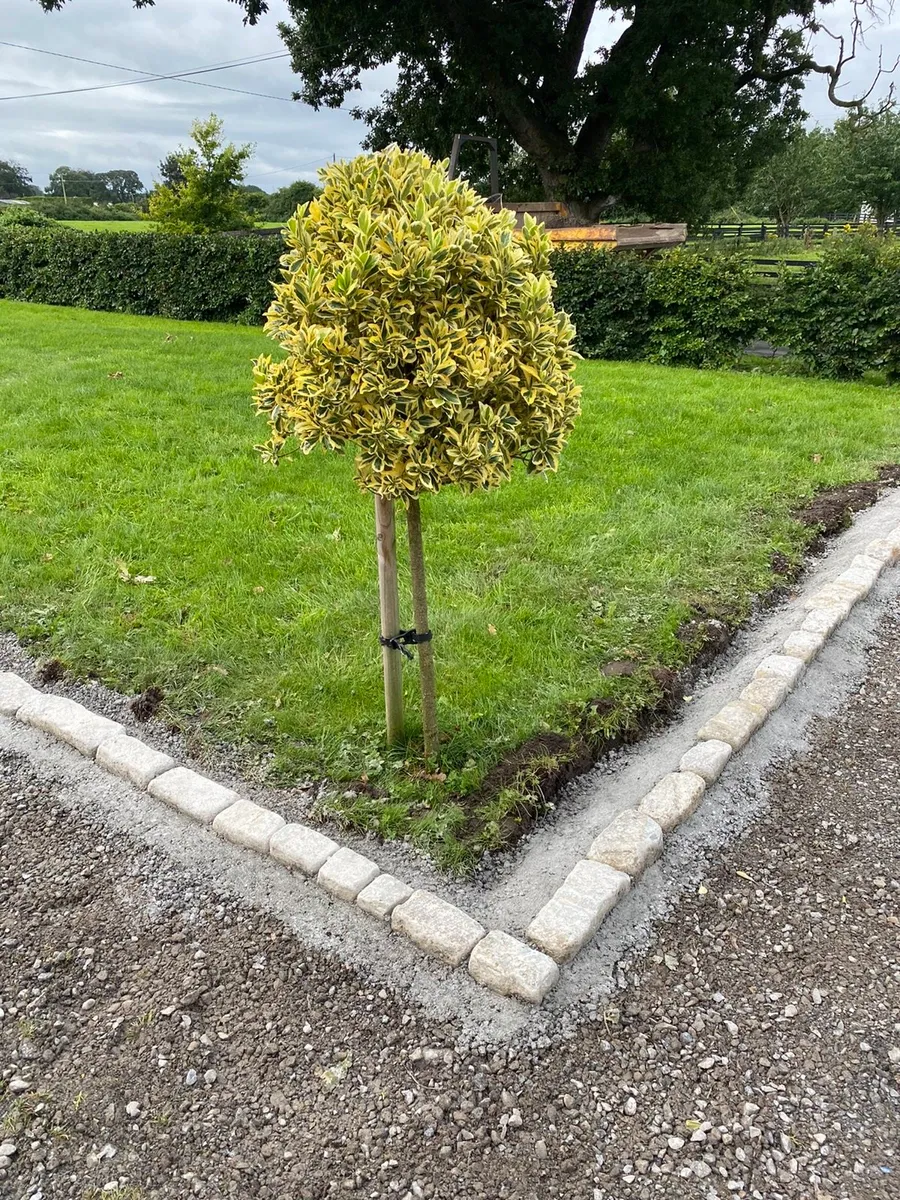 Old Salvage Grey 4" Garden Edging x 30 Lm bulk bag - Image 1