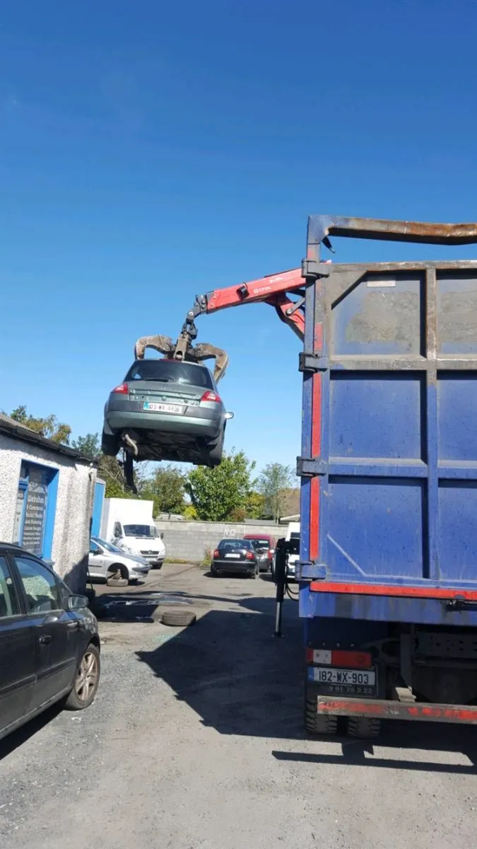 Wanted dead or alive. - Image 1