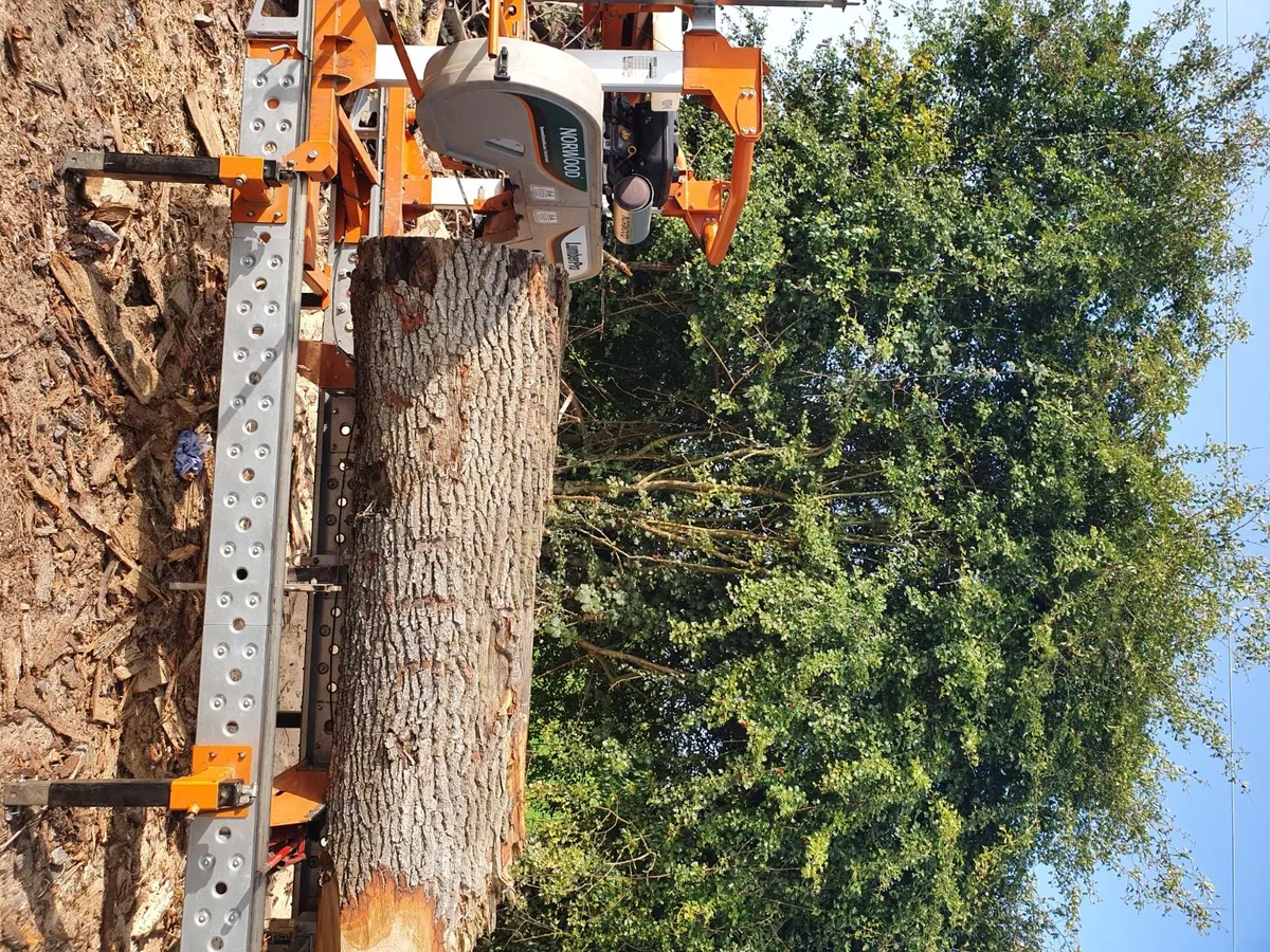 Mobile sawmill services - Image 4