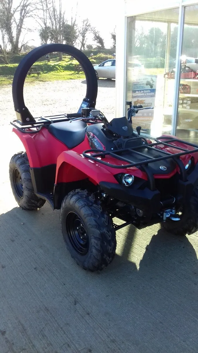 ATV LIFEGUARD - Image 2