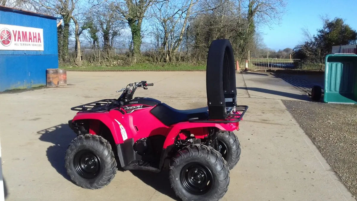 ATV LIFEGUARD - Image 3