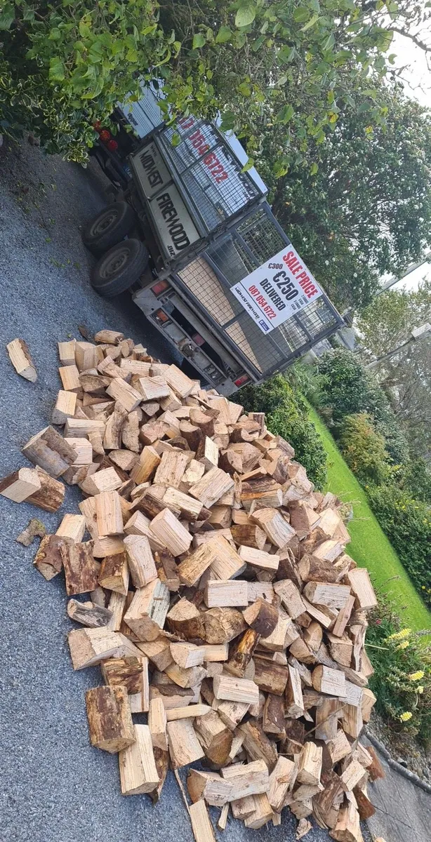 Hardwood Softwood & Kilindried - Image 2