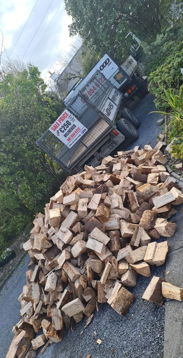 Hardwood Softwood & Kilindried - Image 3