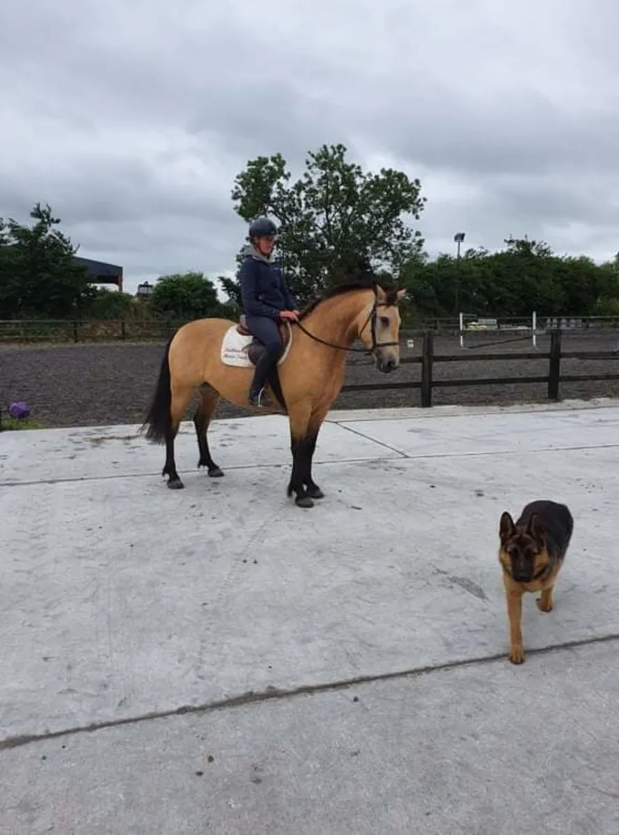 Sales, production and livery - Image 4