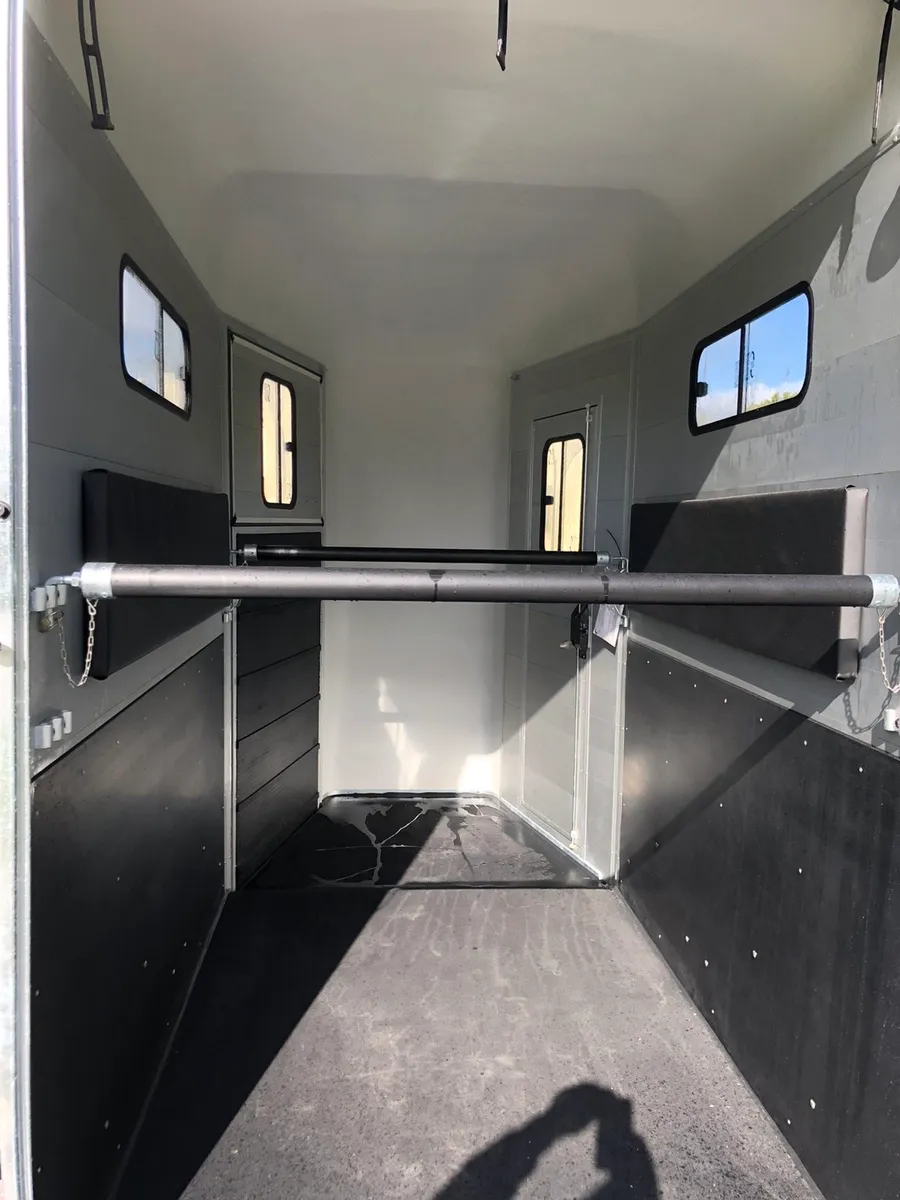 Cheval Liberte touring one (mare/foal) - Image 4